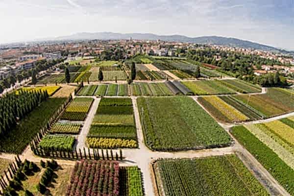 Vizyonumuz